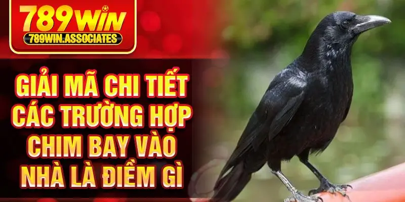 Giải mã chi tiết các trường hợp chim bay vào nhà là điềm gì